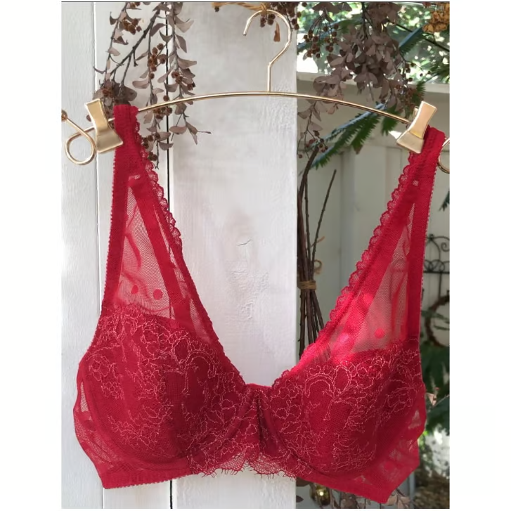 Polka Dot Underwire Bra|Berry Red