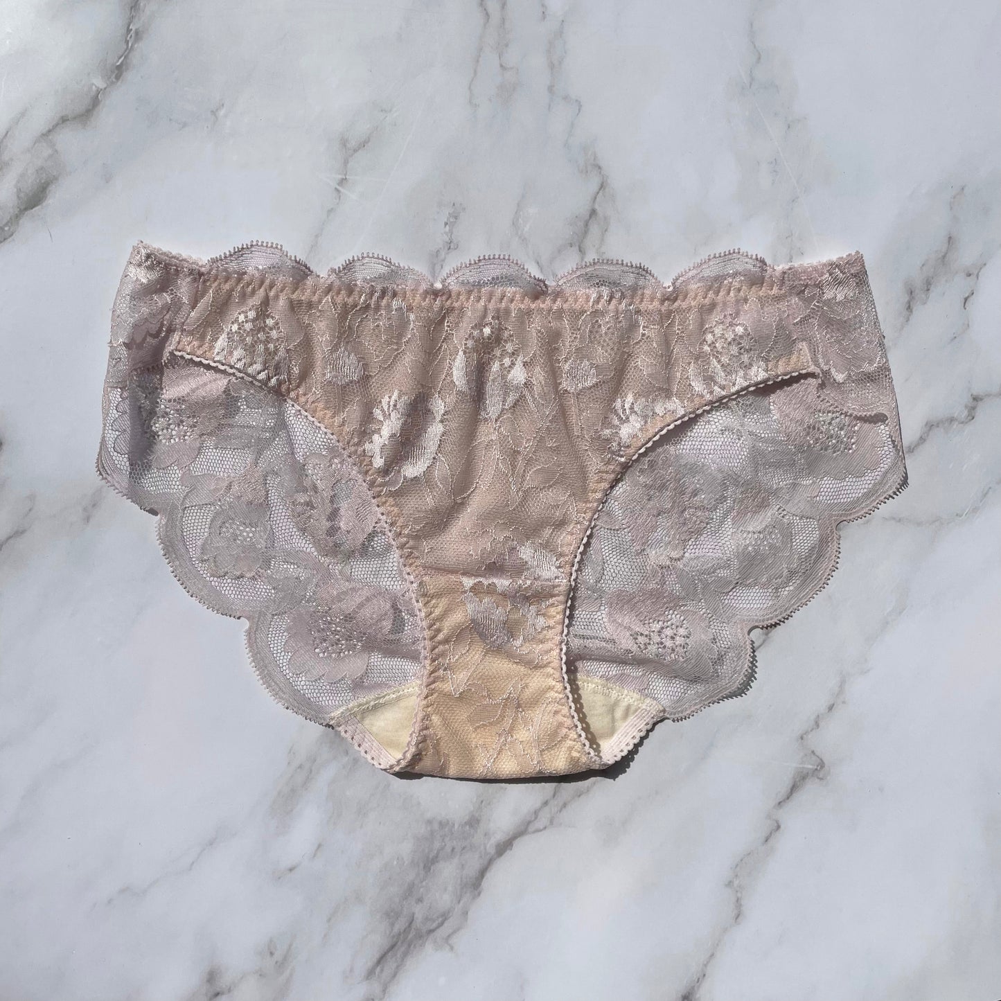 Protea Bikini｜Berry