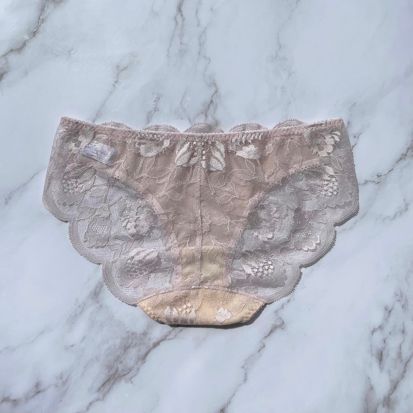 Protea Bikini｜Berry