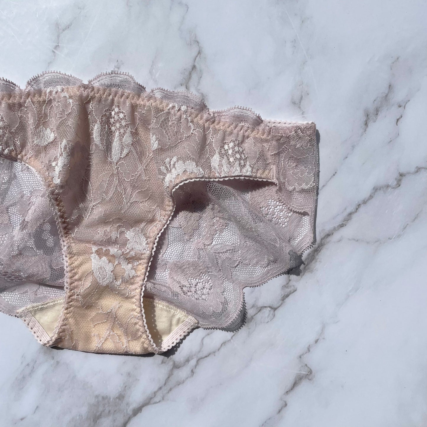 Protea Bikini｜Berry