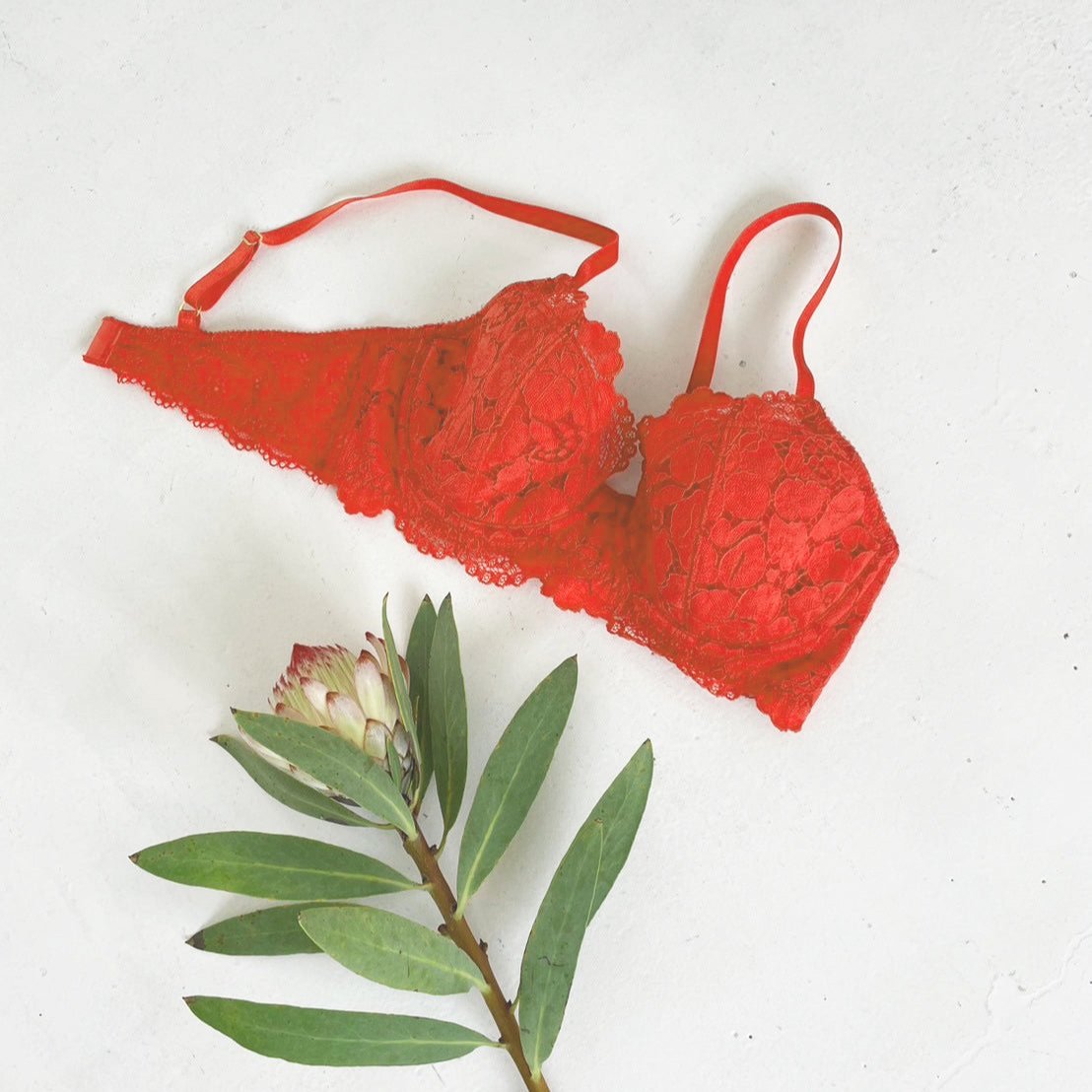 Peony Underwire Bra｜Orange