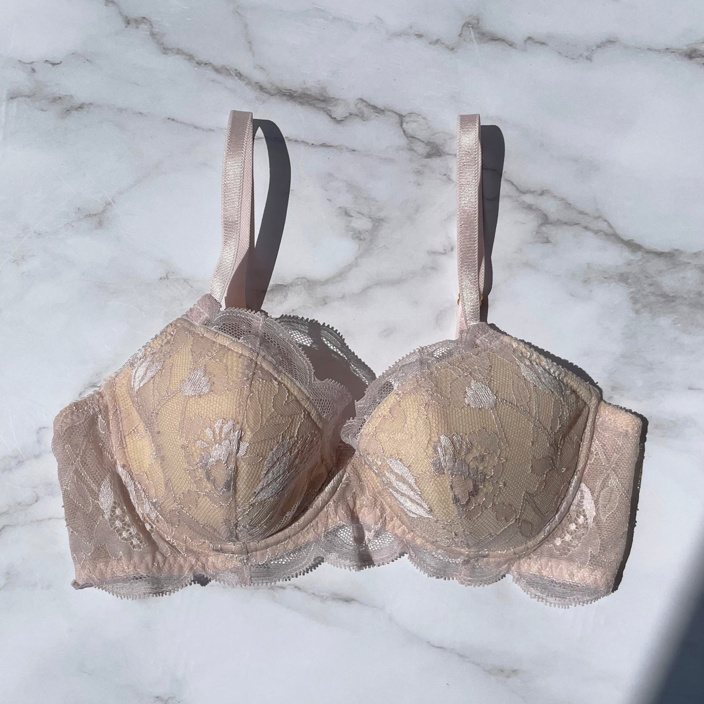 Protea Underwire｜Berry