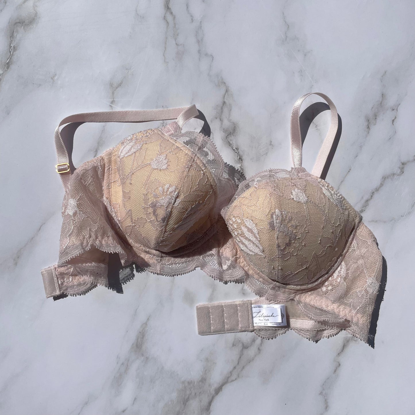 Protea Underwire｜Berry