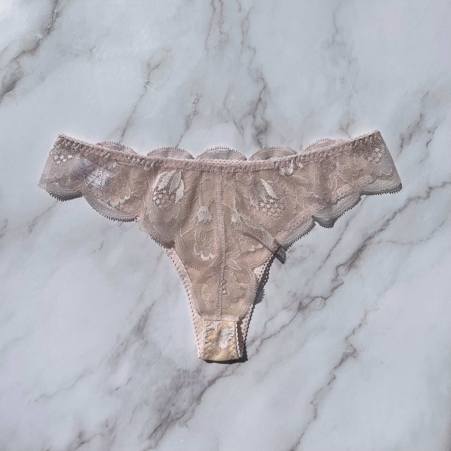 Protea Thong｜Berry