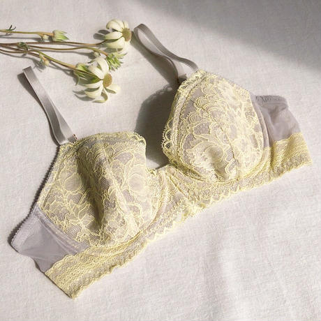SALE Tiara Lemon ×Gray Underwire Bra